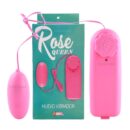 Huevo Vibrador Alambrico Sweet
