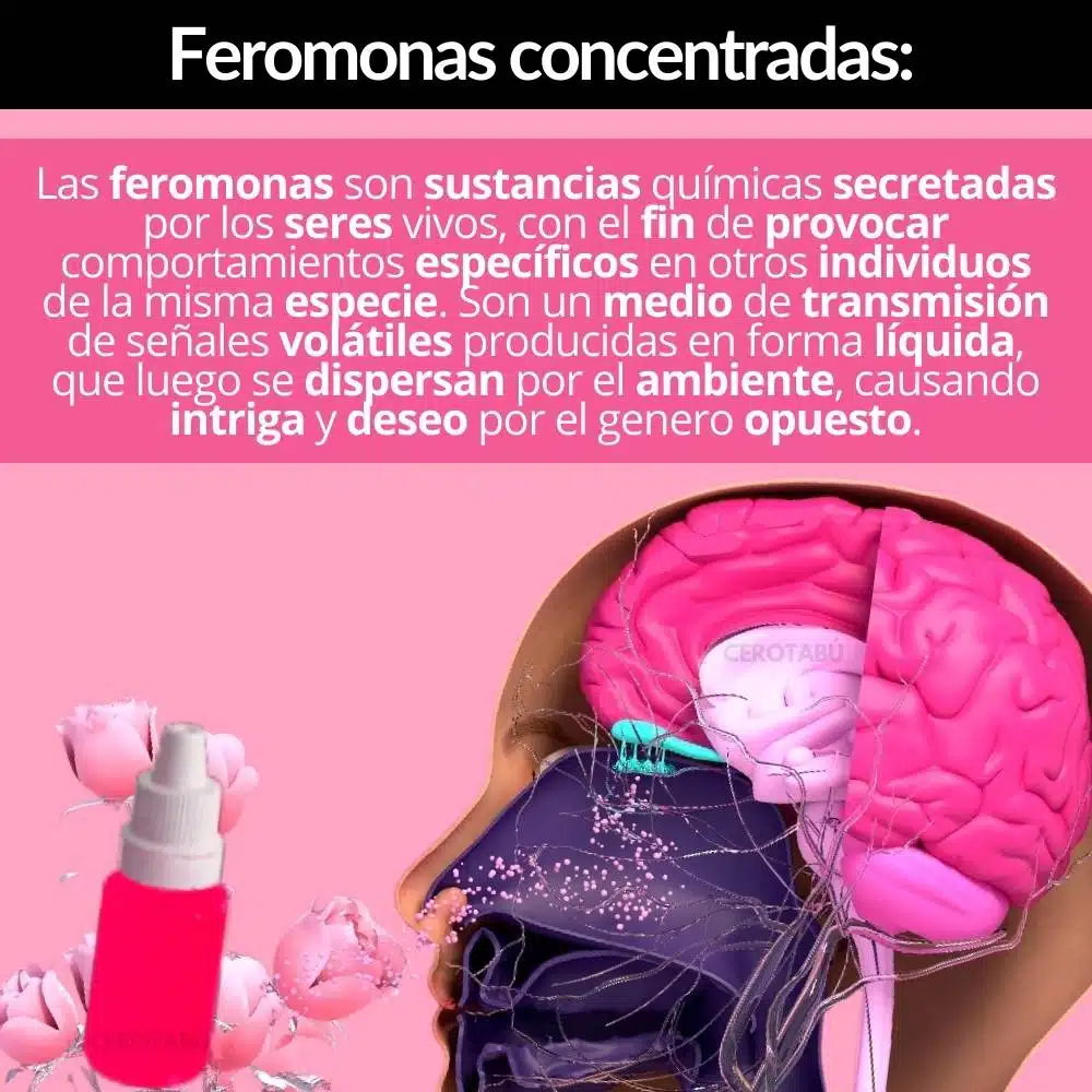 Kit Femenino - Imagen 9