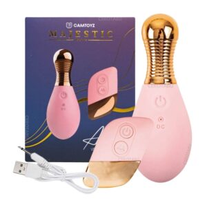 Huevo Vibrador Control Inalámbrico