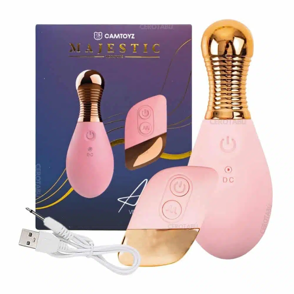 Huevo Vibrador Control Inalámbrico