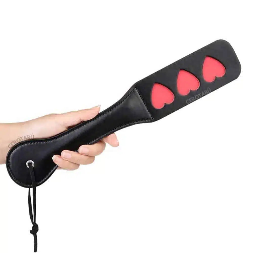 Paleta Sometedora