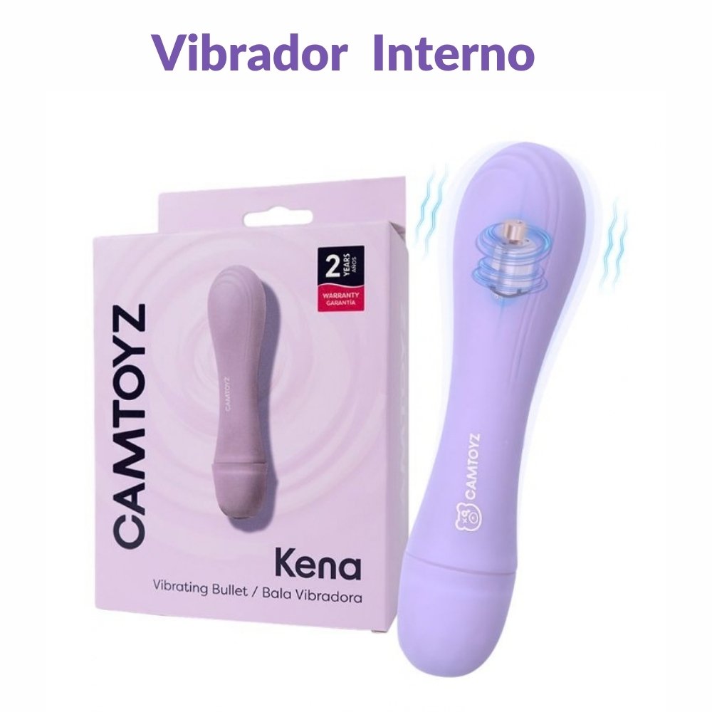 Bala Vibradora Interna y Externa