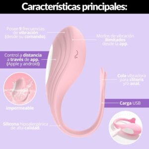 Huevo Vibrador Caracteristicas Principales